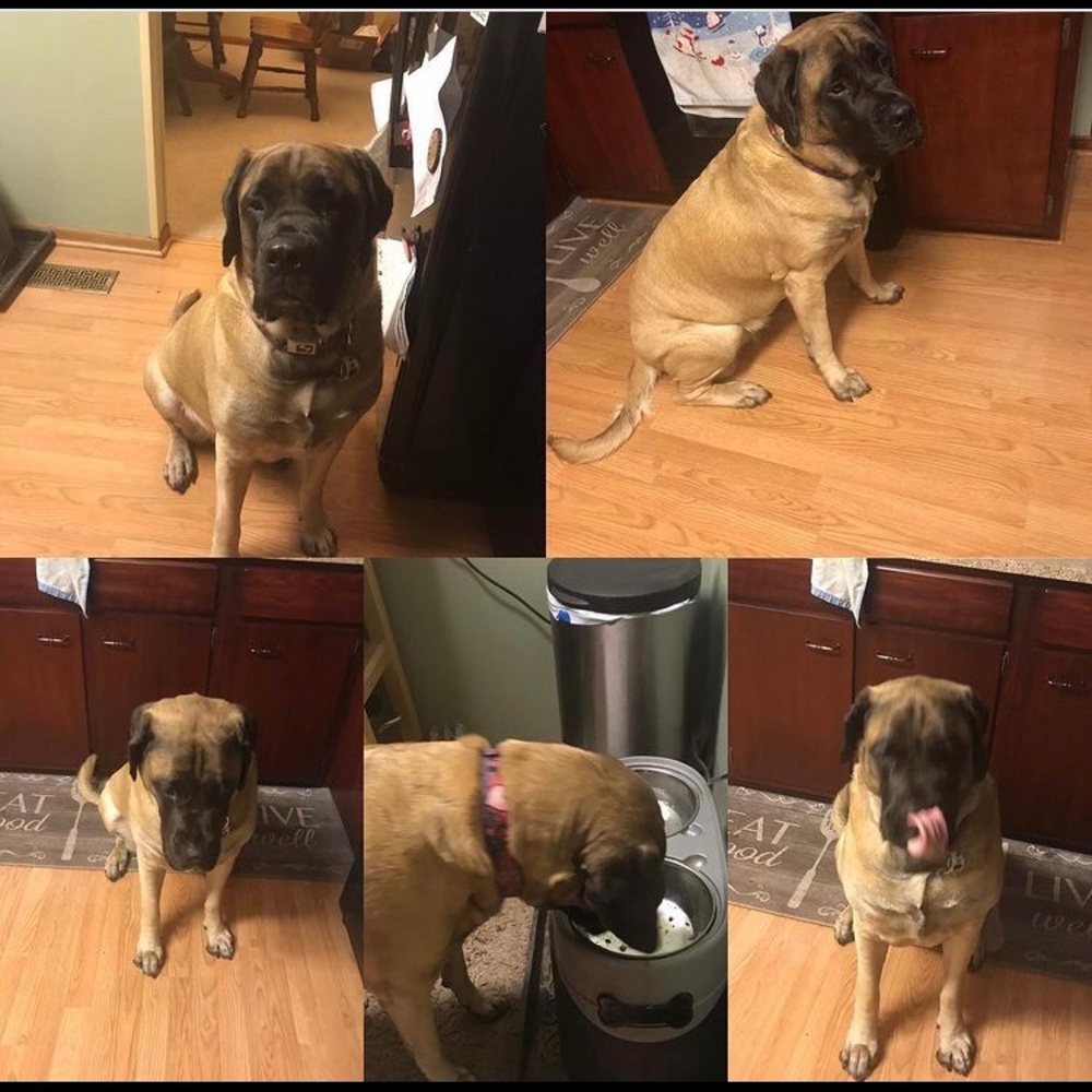 🥰 Jorja says HAPPY POSHING 🥰 - Picture 3 of 4